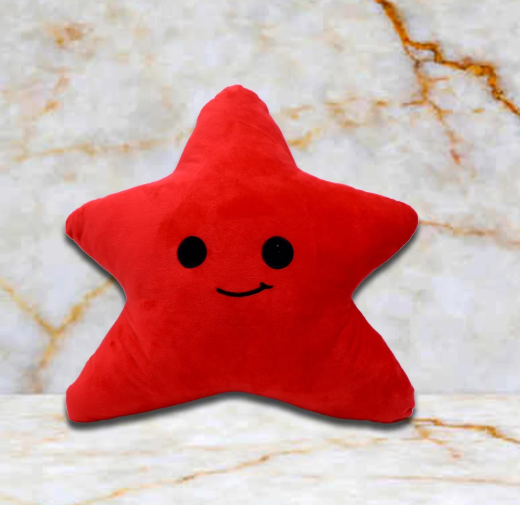 STAR FISH SOFT TOY