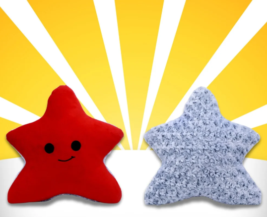 STAR FISH SOFT TOY