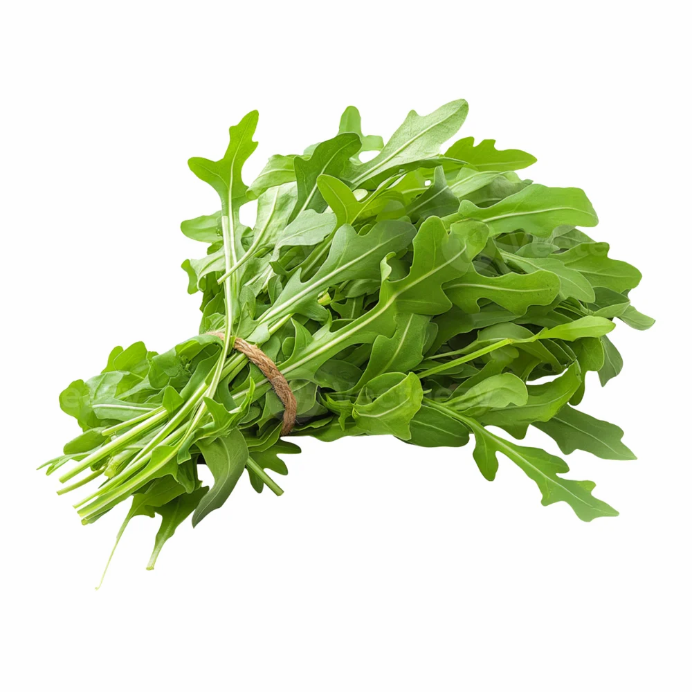 Fresh Arugula Leaves