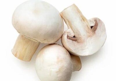 Fresh-Button-Mushroom-1