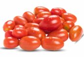 Fresh Candy Oval Tomato