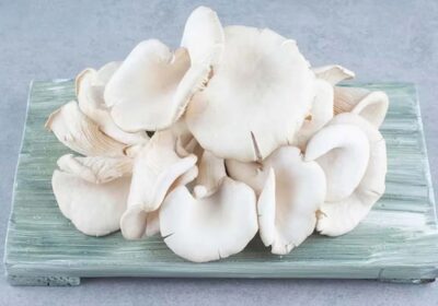 Fresh-Oyster-Mushroom