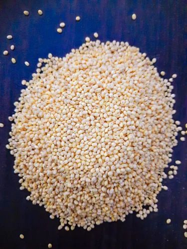 Panivaragu Proso Millet