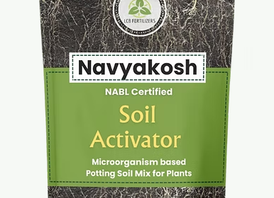 Screenshot-2025-11-02-161921