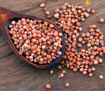 Red Jowar Red Cholam