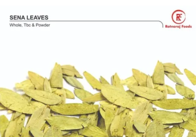 Screenshot-2025-11-18-210914