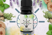 Brain Power Blends