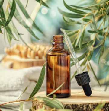 Eucalyptus Radiata Oil