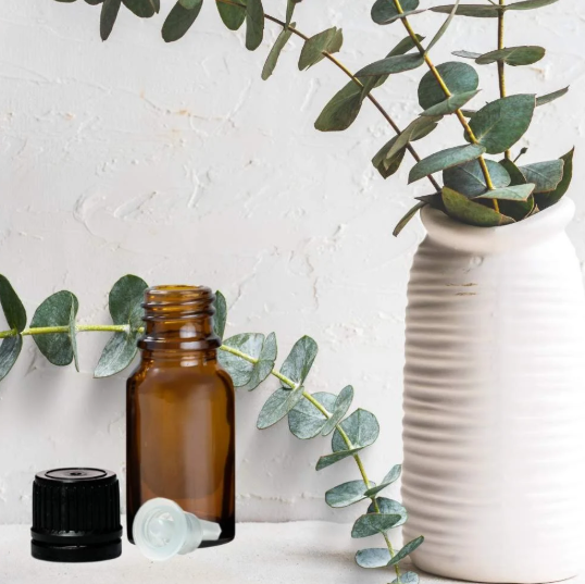 Eucalyptus Radiata Oil