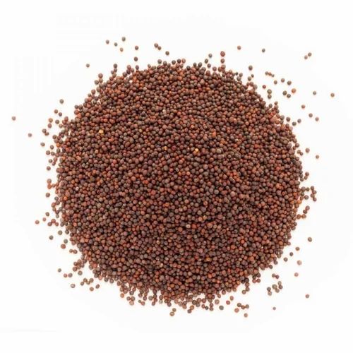 Shivon Black Mustard Seeds