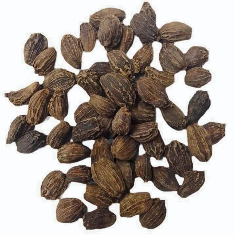 Shri Sagas Spices Large Cardamom Badi Elaichi