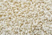 White Sesame Seed