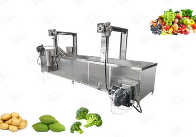 continuous-vegetable-blanching-machine