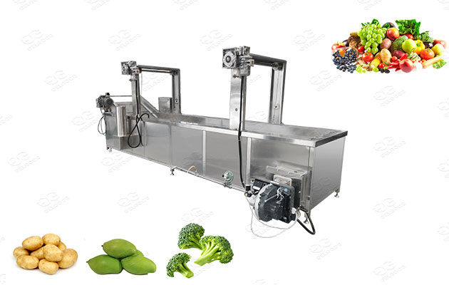 Fruits & Vegetable Blanching Machine