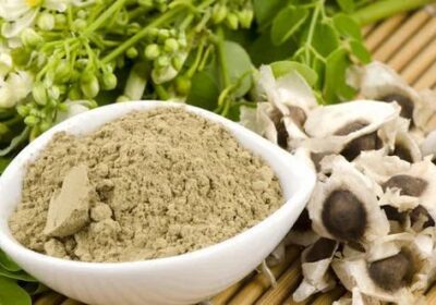 Moringa-Seed-Kernel-Powder