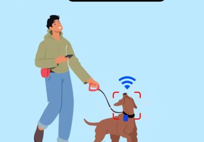 Animal-Behaviour-Monitoring