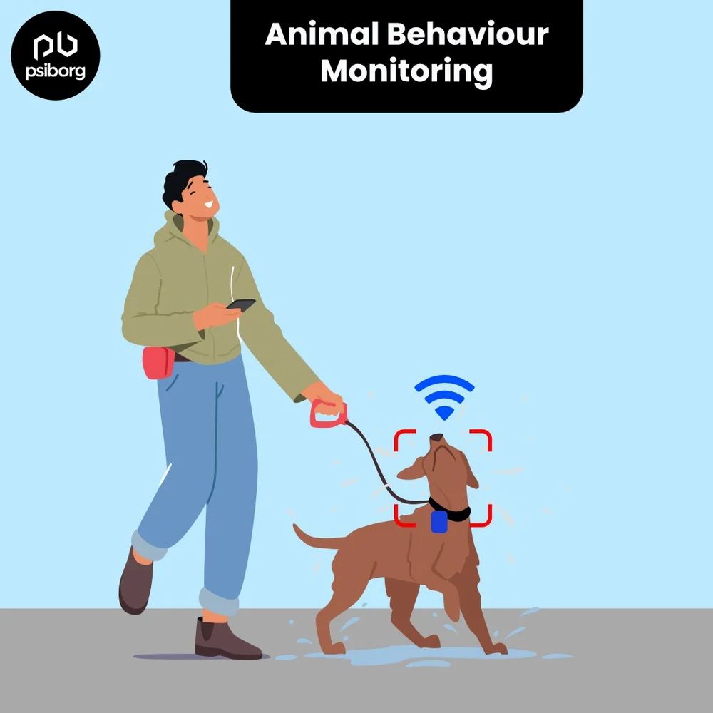 Animal Behaviour Monitoring