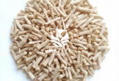 Organic Dried White Shatavari Root