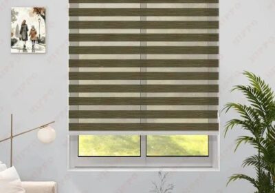 Pvc-Zebra-Window-Blind-1