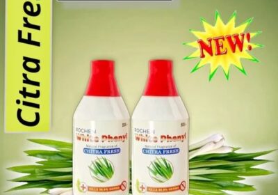 Rochen-500ml-Chitra-Fresh-White-Phenyl-1