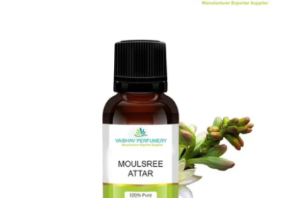 Screenshot-2026-01-20-124503