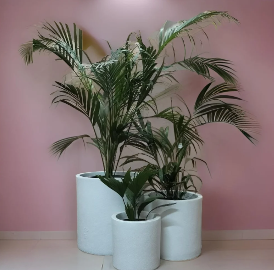 Fiberglass Planters Set Cylindrical Shape