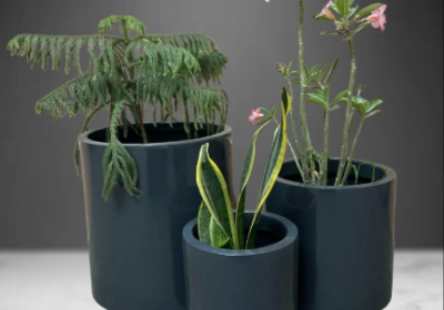 Screenshot-2026-01-29-165806