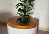 FRP Round Tree Planter with Seating