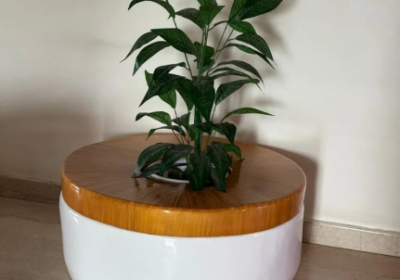 Screenshot-2026-01-29-170100