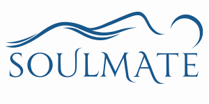 Soulmate Mattress