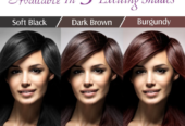 Vegetal Bio Hair Color