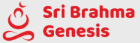 Sri Brahma Genesis