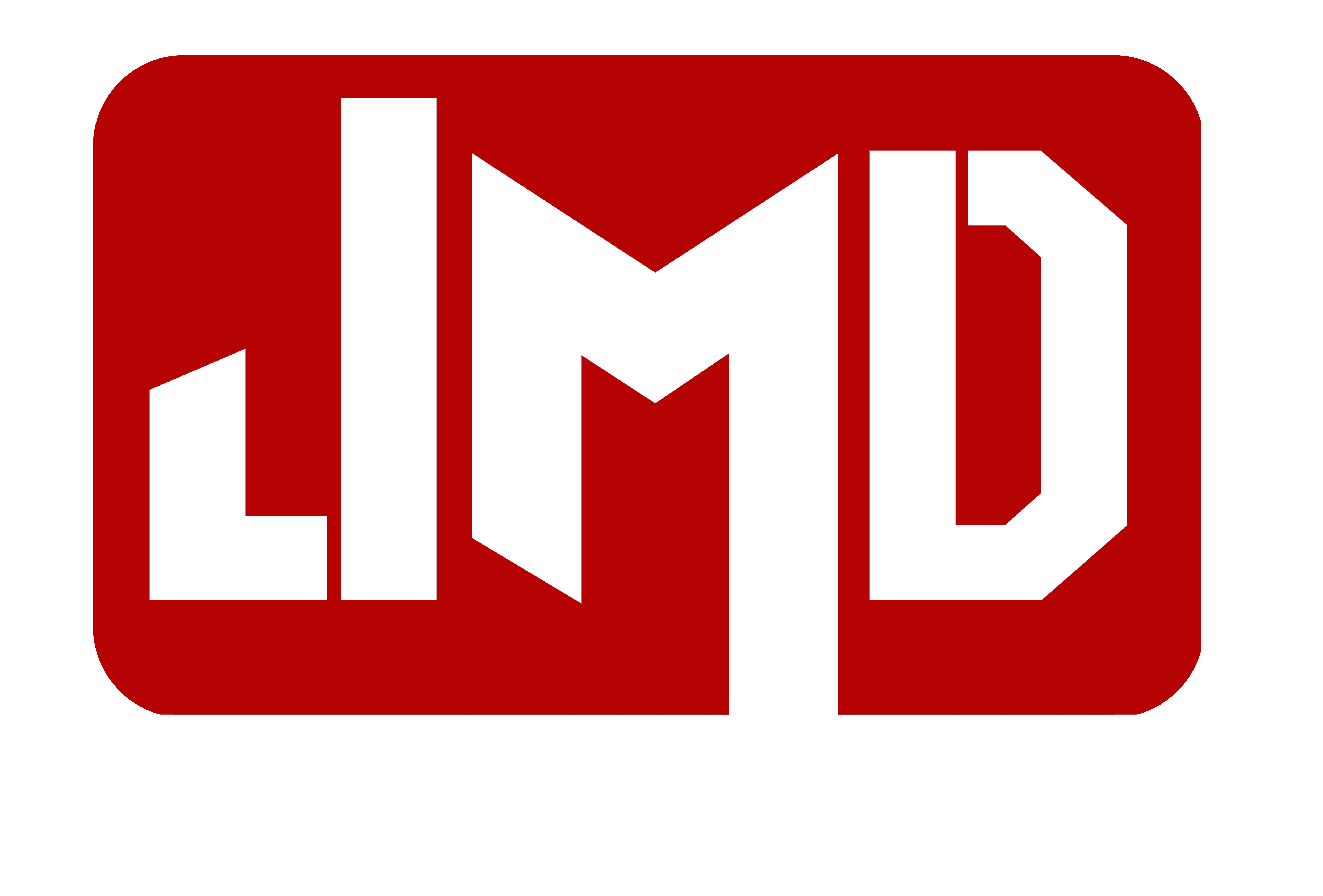 JMD Helmets Pvt. Ltd.