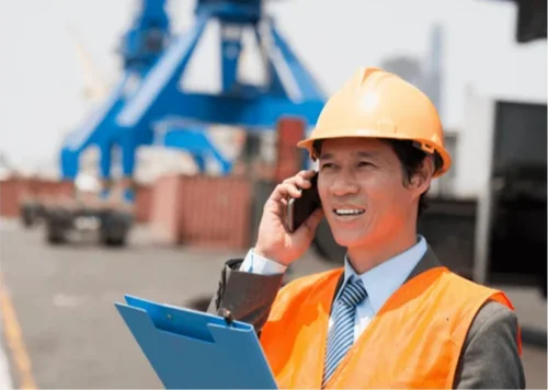 Custom Clearing Service