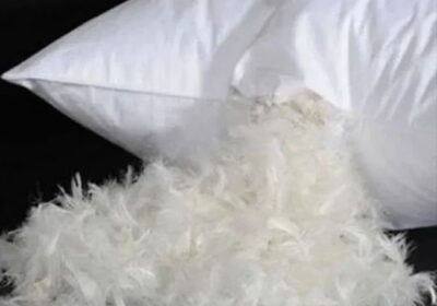 Down-Feather-Pillows-10-Down-1