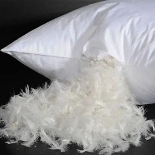 Down & Feather Pillows 10% Down