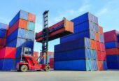 Freight Forwarding Services For LCL Export