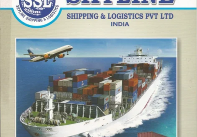 Import-Customs-Clearance-at-Krishnapatnam-Port-1