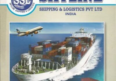 Import-Customs-Clearance-at-Krishnapatnam-Port