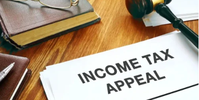 Income Tax Appeal Consultant Service